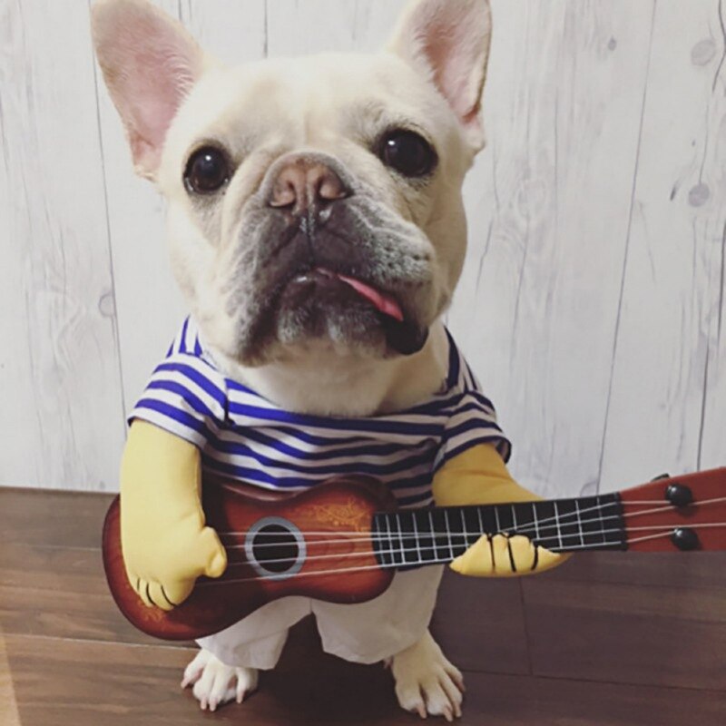 Costume de guitare drôle pour chien, déguisement de fête, de noël pour animal de compagnie