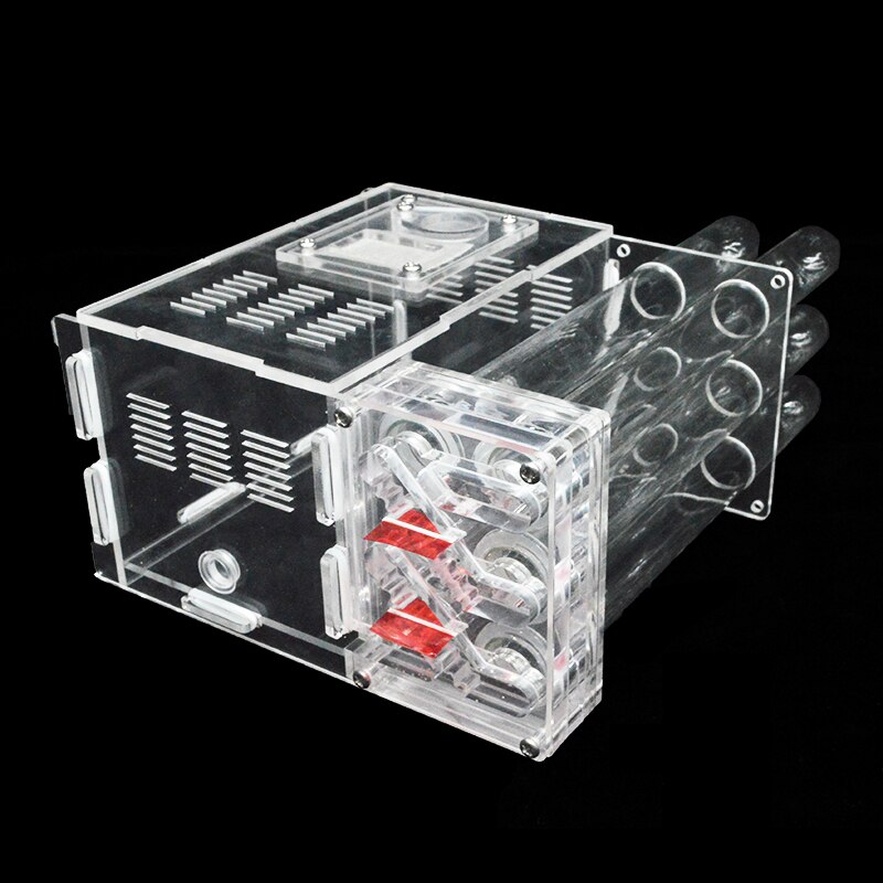DIY Acrylic Ant Farm with Feeding Area 6 Plaster Tubes Ants House Ant Nest Insect Workshop Pet Anthill