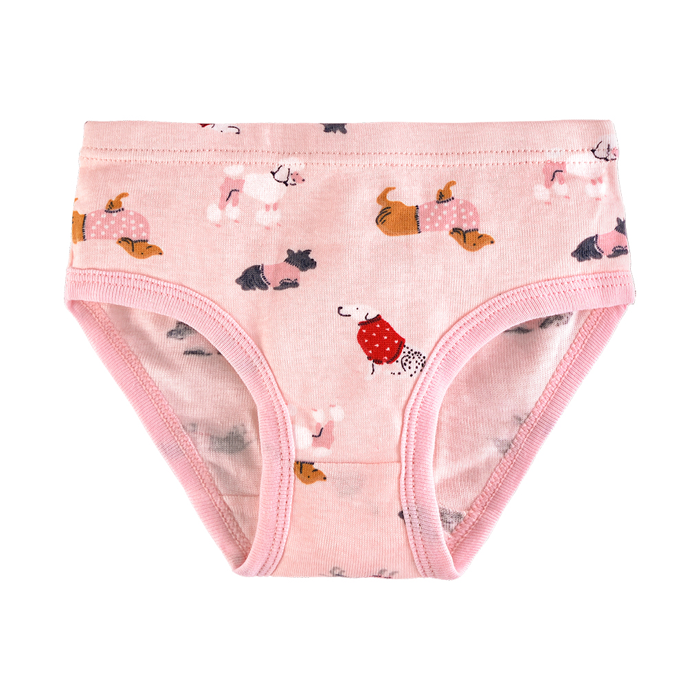 3 Pcs/Lot Cotton Young Girl Underwear For Teenage Girls Briefs Kids Girls Shorts Panties Underpants 3-10T