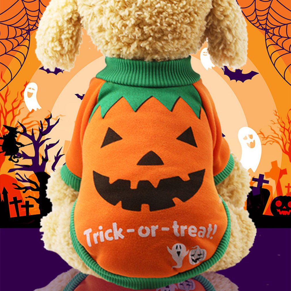 Halloween Pet Dog Sweater Pumpkin Knit Jumper Clothes For Dogs Pets Costume Party for Cat and Puppy: pumpkin / M