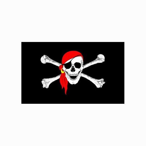 Drapeau de Pirate de Stede Bonnet | Drapeau de Pirate poisson, drapeau de Christopher Condent, pour décoration, 90*150cm: G