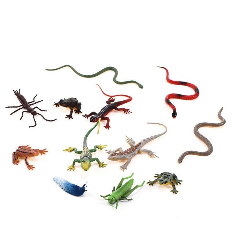 12 Plastic Insect Model Toys Wild Insect Lizard Fr... – Grandado