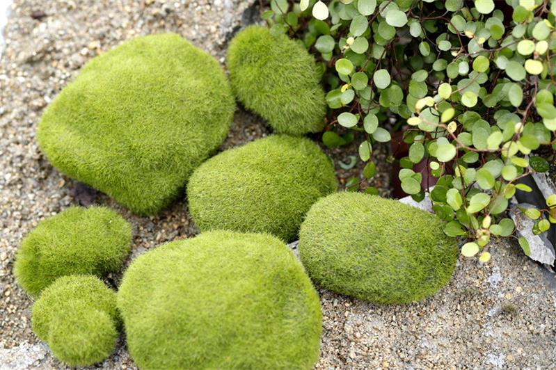 Multi Sizes Artificial Moss Flocking Moss Rock Imitated Stone Simulated Moss Lawn Micro Landscape Decoration DIY Accessories: Default Title