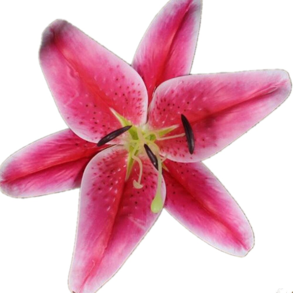 12 Uds Real toque de Azucena cabezas de flores 20cm PU Lily flor 8 colores: Rojo rosado