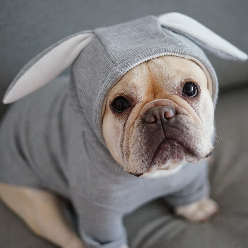 Hunde klær hund genser fleece hettegenser kanin hund skjorte fransk bulldog chihuahua katt skjorte kjæledyr klær ropa perro valp kanin øre