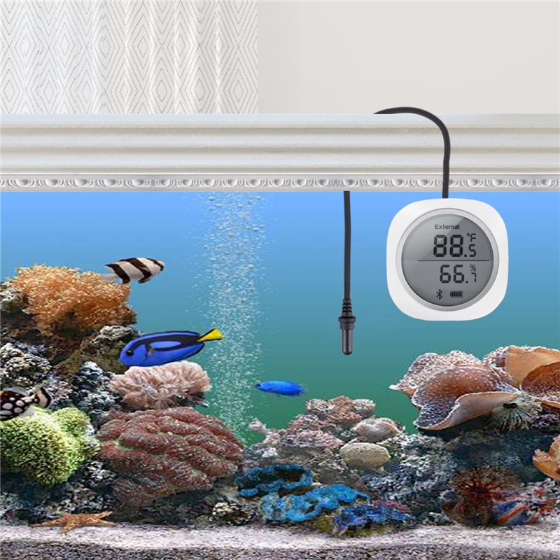 Inkbird IBS-TH1 Plus thermomètre et hygromètre Bluetooth sans fil avec sonde d'aquarium utilisation Multiple pour piscine d'eau salée d'aquarium