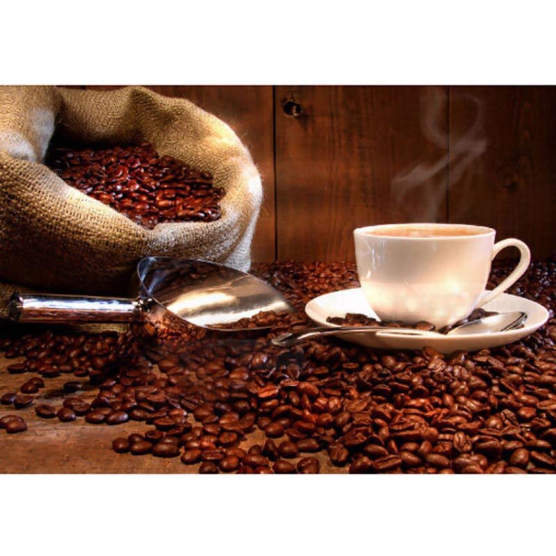 8/9/10/11/12/13 Inch Stainless Steel Ice Scraper Food Buffet Animal Candy Bar Scoops DC112