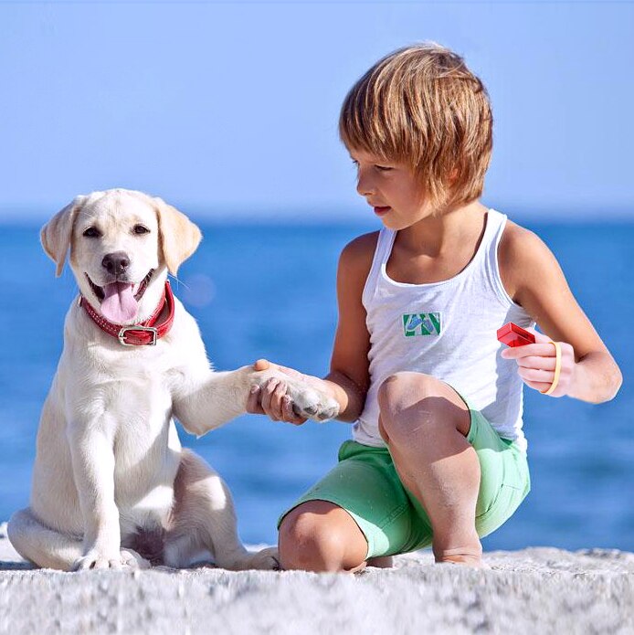 Perro silbato Collier Anti Aboiement perro entrenamiento Clicker juguete mascota Anti perro ladrando perros de entrenamiento dejar de ladrar mascota Clicker entrenamiento