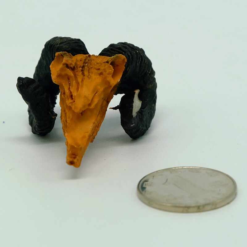 Aquarium Artifical Rhino Sheepshead Resin Skull Terrarium Decoration Fish Tank Simulation Statue Landscape Reptile Cave House