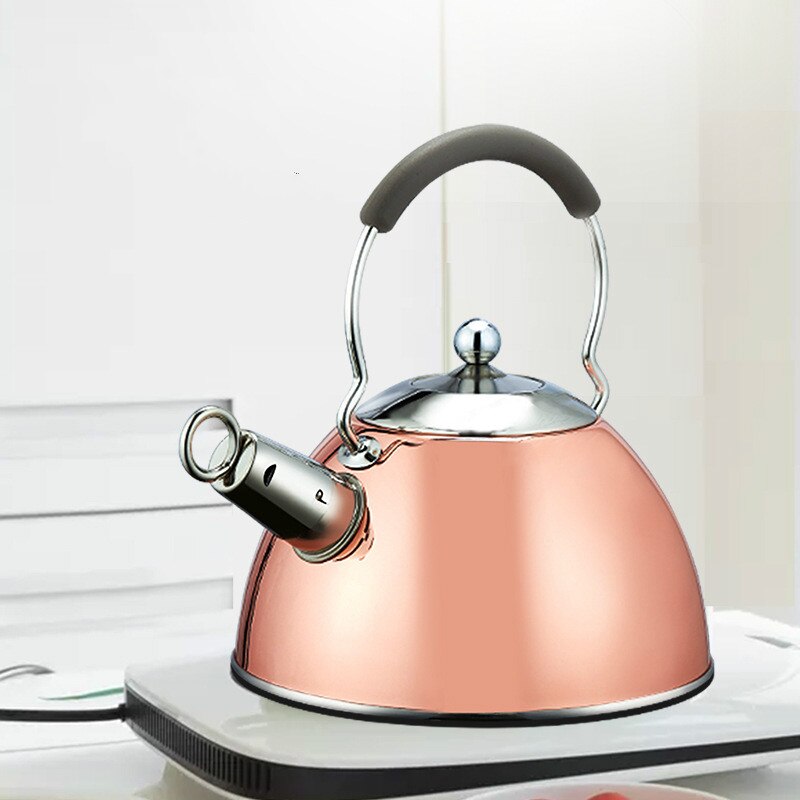 3l rostfritt stål visslande vattenkokare induktion spis vattenkokare gasspis tekanna kök matlagningsverktyg för hem camping