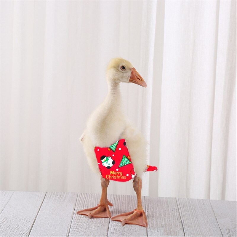 Pañal lavable para aves grandes, ropa con estampado de temática navideña, Disfraces para vacaciones de mascotas, ganso, pato, pollo