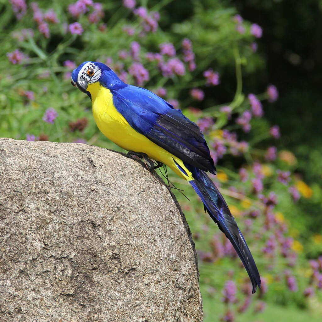 Oiseaux de jardin artificiels colorés | Faux perroquets, modèle d'oiseaux, décoration pour arbre de pelouse et jardin de maison en plein air: F