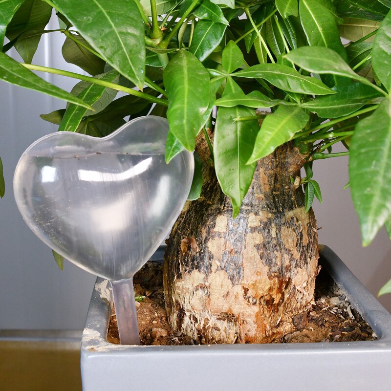Dispositivo de riego automático de flores, serie de plantas, gotero transparente soplado a mano, autorriego, 1 ud.: Borgoña