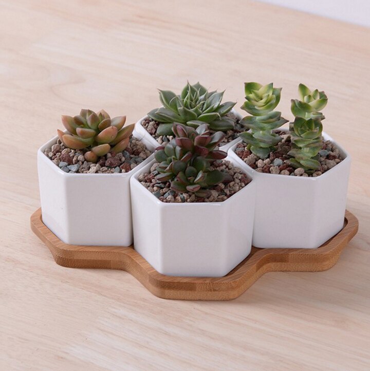 Set Van 4/7/9/10 Hexagon Bloempotten Witte Keramische Vetplant Pot Met Bamboe Stand Home Office Kerst Jaar Decoratie: A