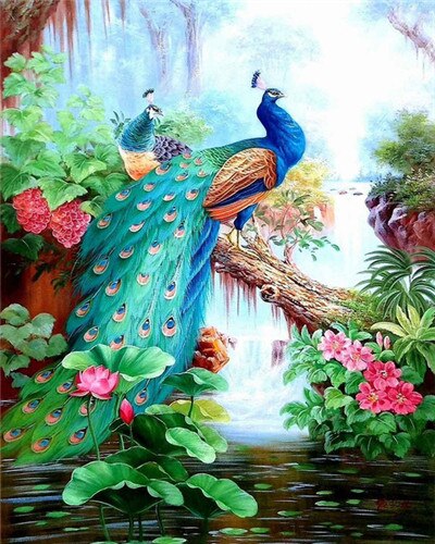 EverShine Painting By Numbers Animals Canvas Wall Set Paint By Numbers For Adults Peacocks Drawing Art: SZES-969