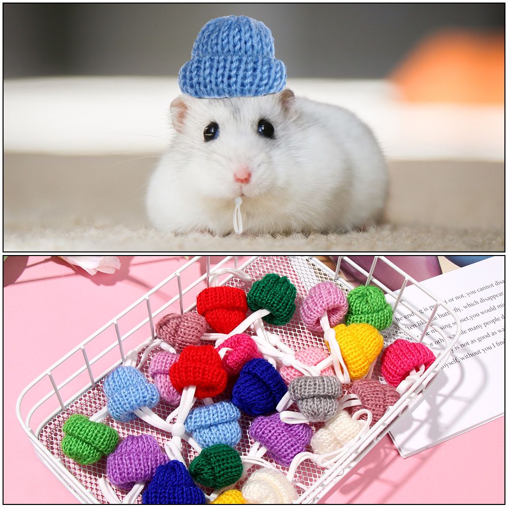 2 stk hamsterhat og marsvin sort hat med butterfly cool kæledyr kasket lille dyr outfit jakkesæt cosplay