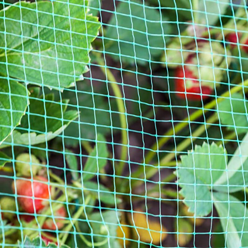 Gardening Net Bird Fruit-proof Net Tree In Pot Of Grapes Cherry Garden Single Fruit Tree Protection Protection Net