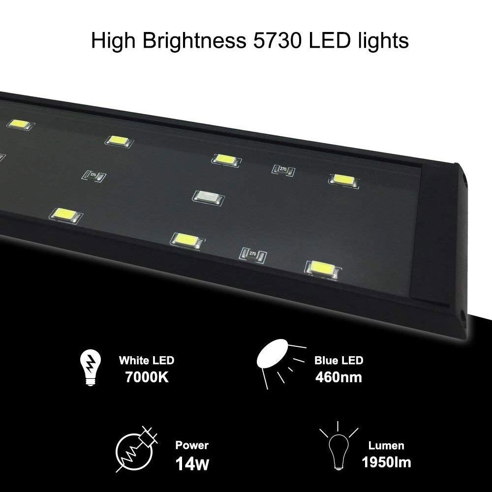 LED Aquarium Light Clip on Fish Tank Light with Extendable Bracket White and Blue LEDs Lamp Supply