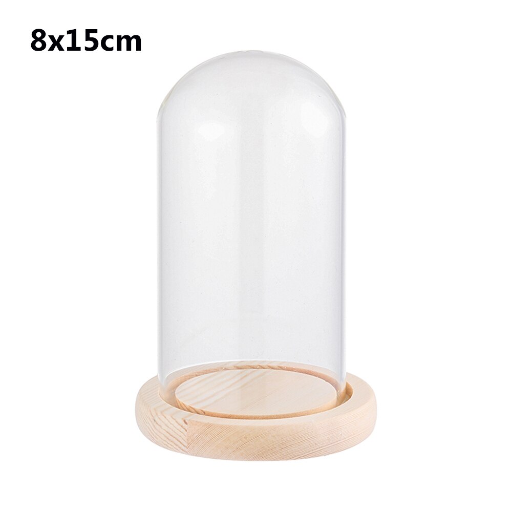 1Pcs Sferische Glas Cloche Jar Display Stand Cover Terrarium Fles Met Houten Base Acryl Stofkap Display Box Bloem doos: 8x15cm with base