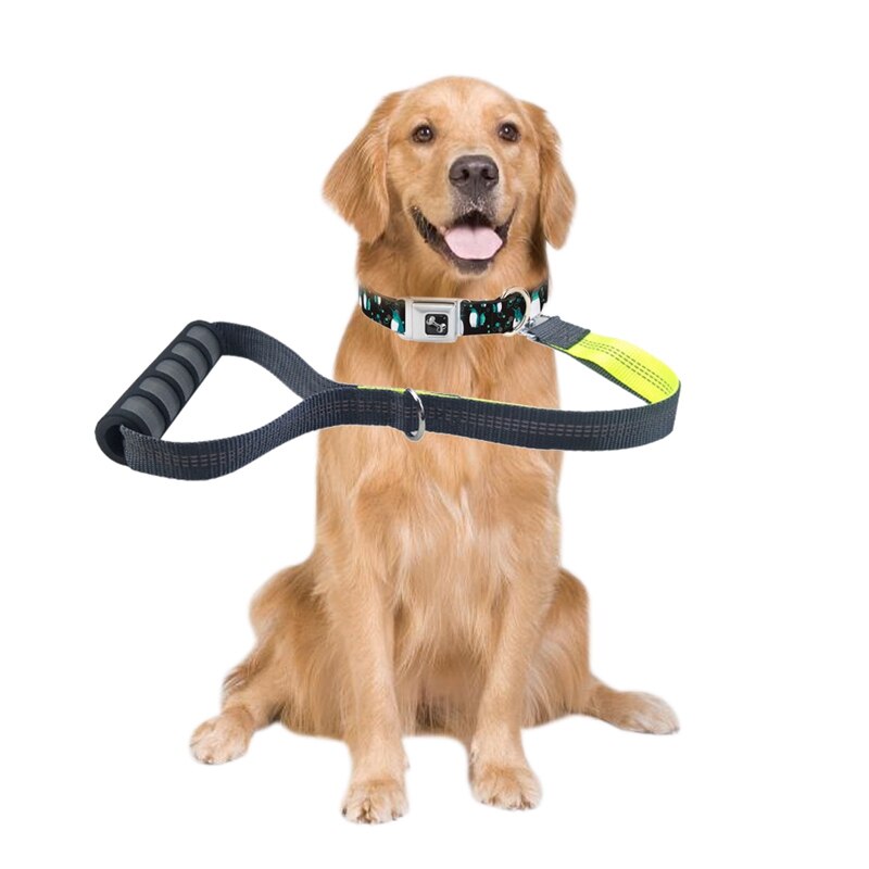 Nylon Hondenriem Reflecterende Hondenriem Voor Hond 50 Cm Lange Met Comfortabele Gewatteerde Handvat Duurzaam Huisdier Trekkabel