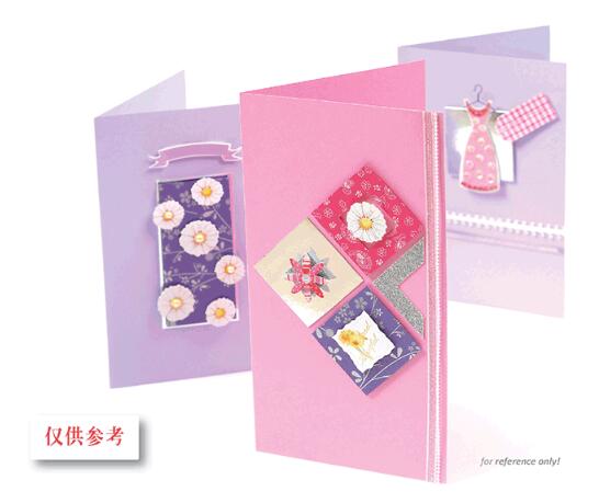 Eno Greeting complete scrapbooking diy card kit for beginner kids craft diy card making kit 6 cards and 6 envelopes: SKC04