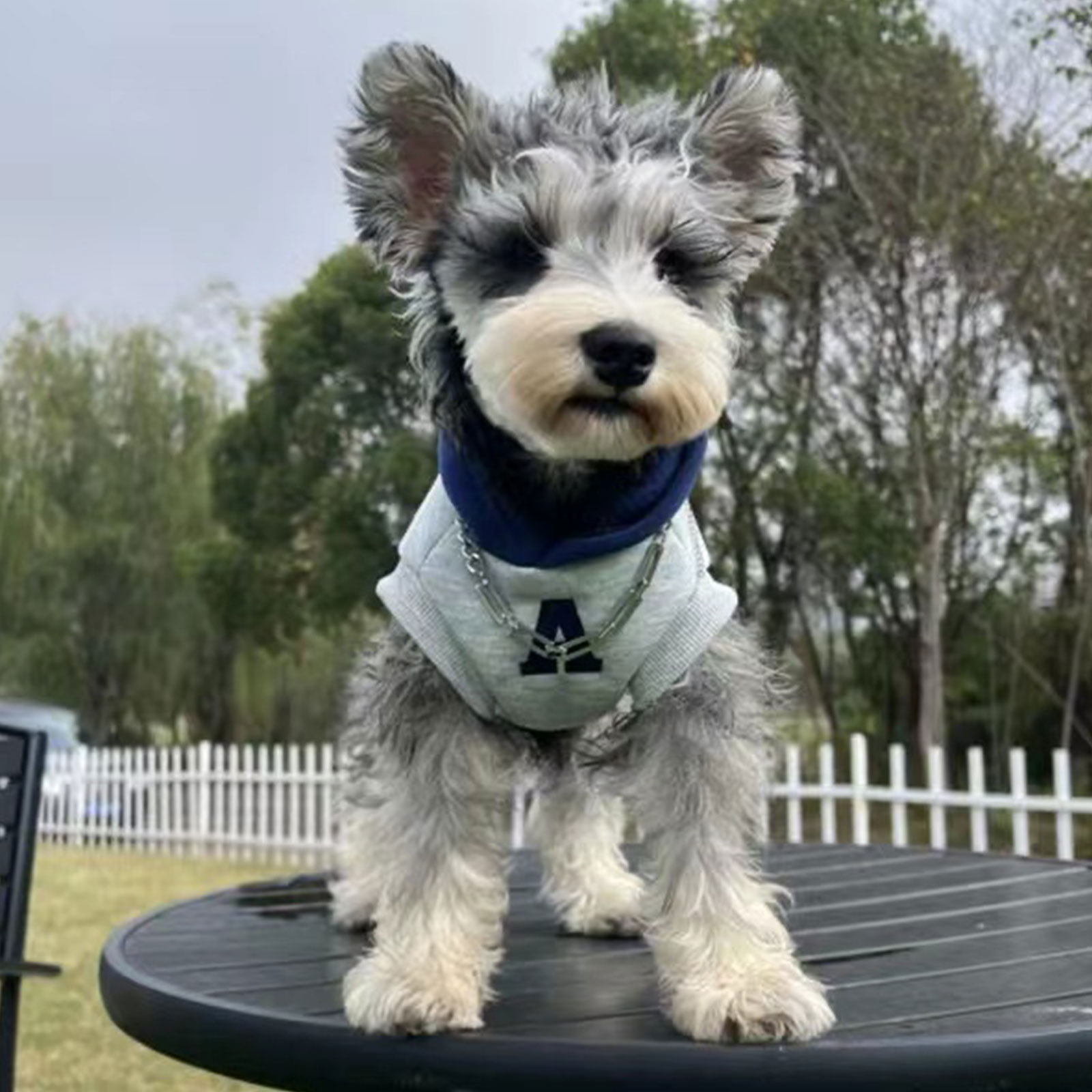 Sudadera con capucha para perro a la , ropa cálida de invierno para perros y gatos, sudadera suave, abrigo para perros pequeños y medianos, ropa para mascotas en clima frío, Chihuahua Pug