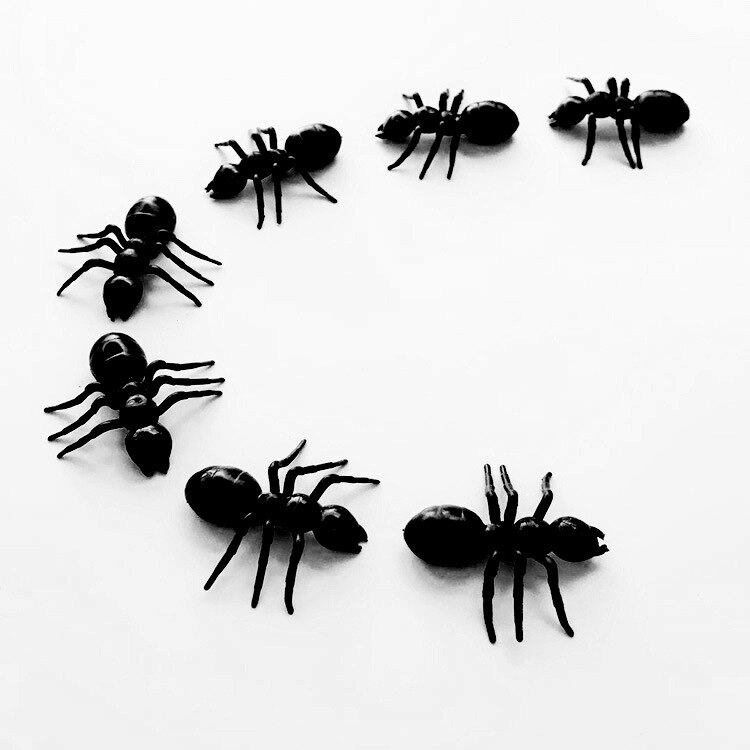 50 Stks/partij Grote 4*4Cm Grapje Speelgoed Halloween Gadget Plastic Zwarte Mier Speelgoed Realistische Voor Fun Brincando Brinquedos