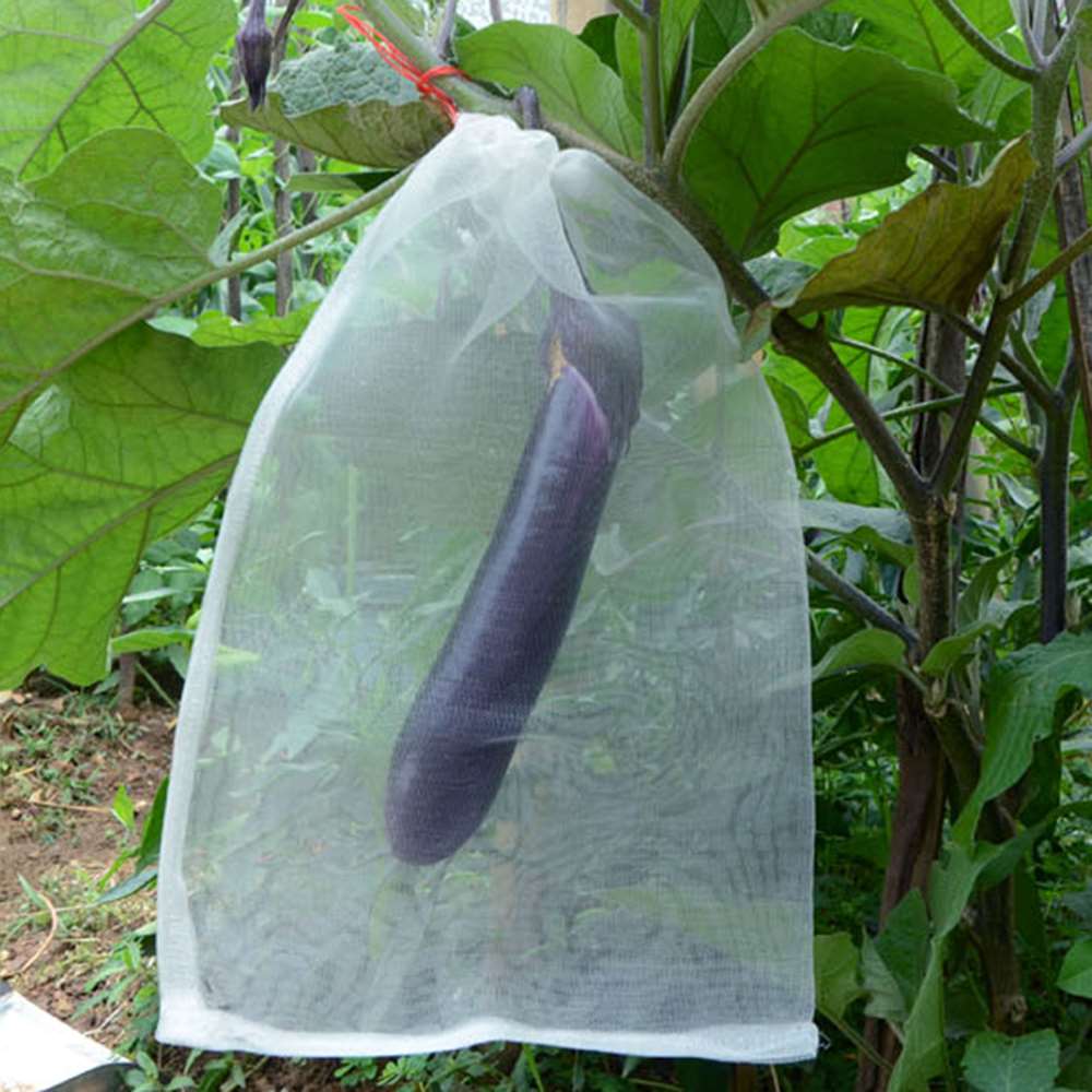100 st trädgårdsnätpåsar fruktbarriärskyddspåsar för druva fikonblomma frögrönsaksskydd mot insektsmugg