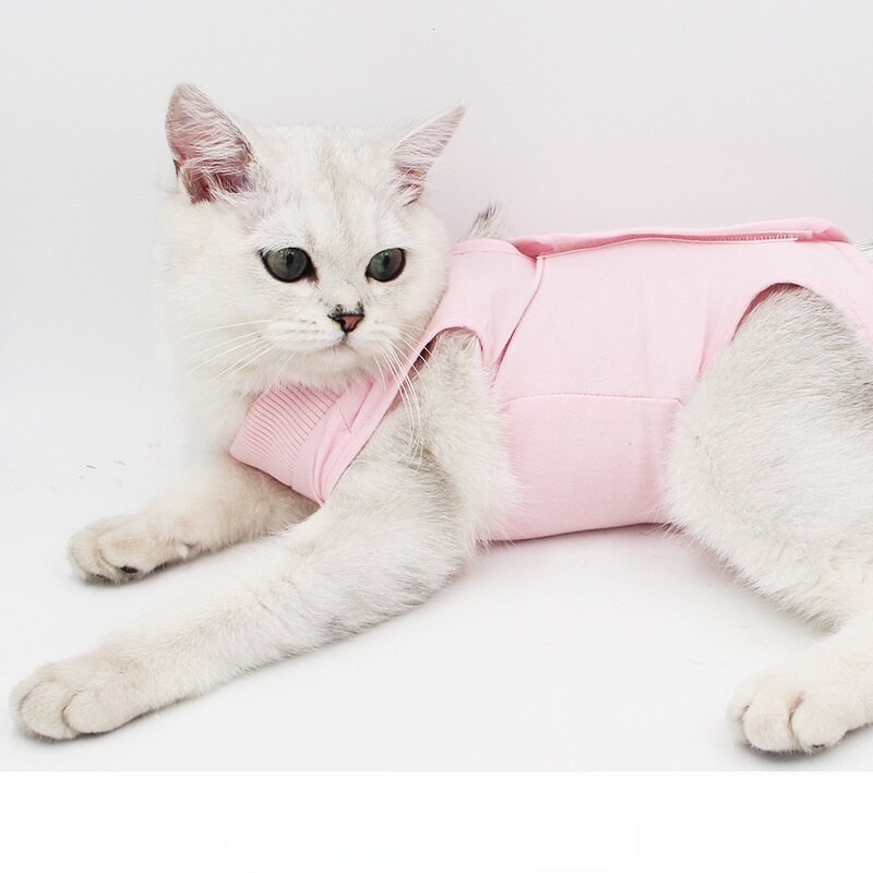 Traje de neuteración de gato para mujer, ropa postoperatoria de verano, antilamer, elasticidad, ropa de, Color puro, suministros para mascotas: pink / L chest 38-46