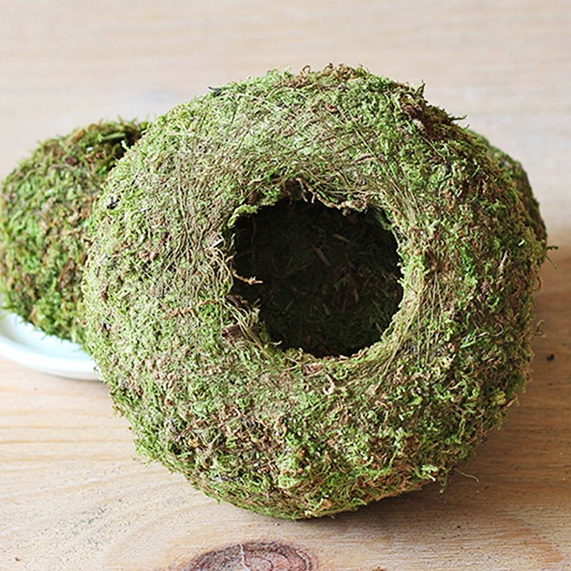 Moss Ball Pot Bird Nest Flower Plant Home Office Desk Table Garden DIY Decoration