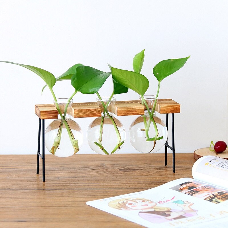 Glas og træ vase planter terrarium bord desktop hydroponics plante bonsai urtepotte hængende potter med træbakke boligindretning