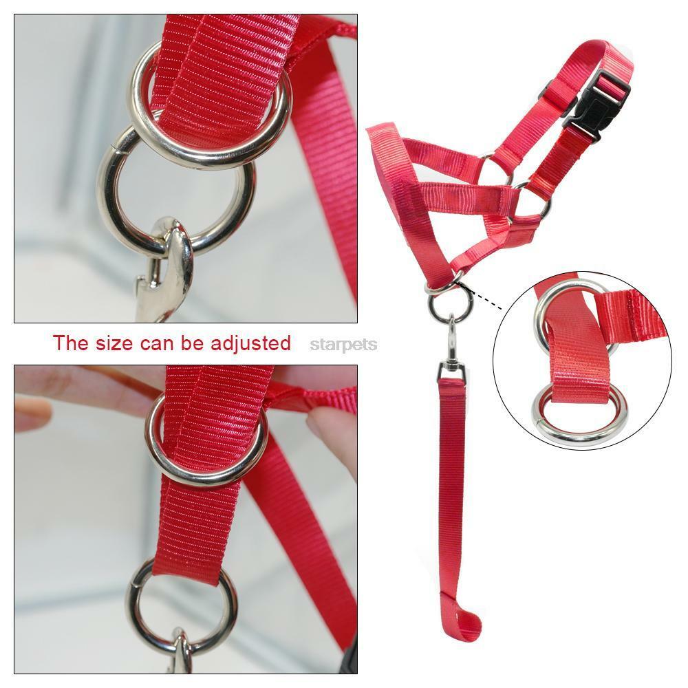 Large Pet Gentle Leader Dog Head Collar Training Dog Halter Harness Stop Pulling Straps