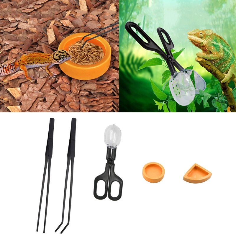 Herramienta de alimentación para reptiles, pinzas de grillo anti-choques con pinzas para acuarios, serpientes, Gecko, 5 piezas