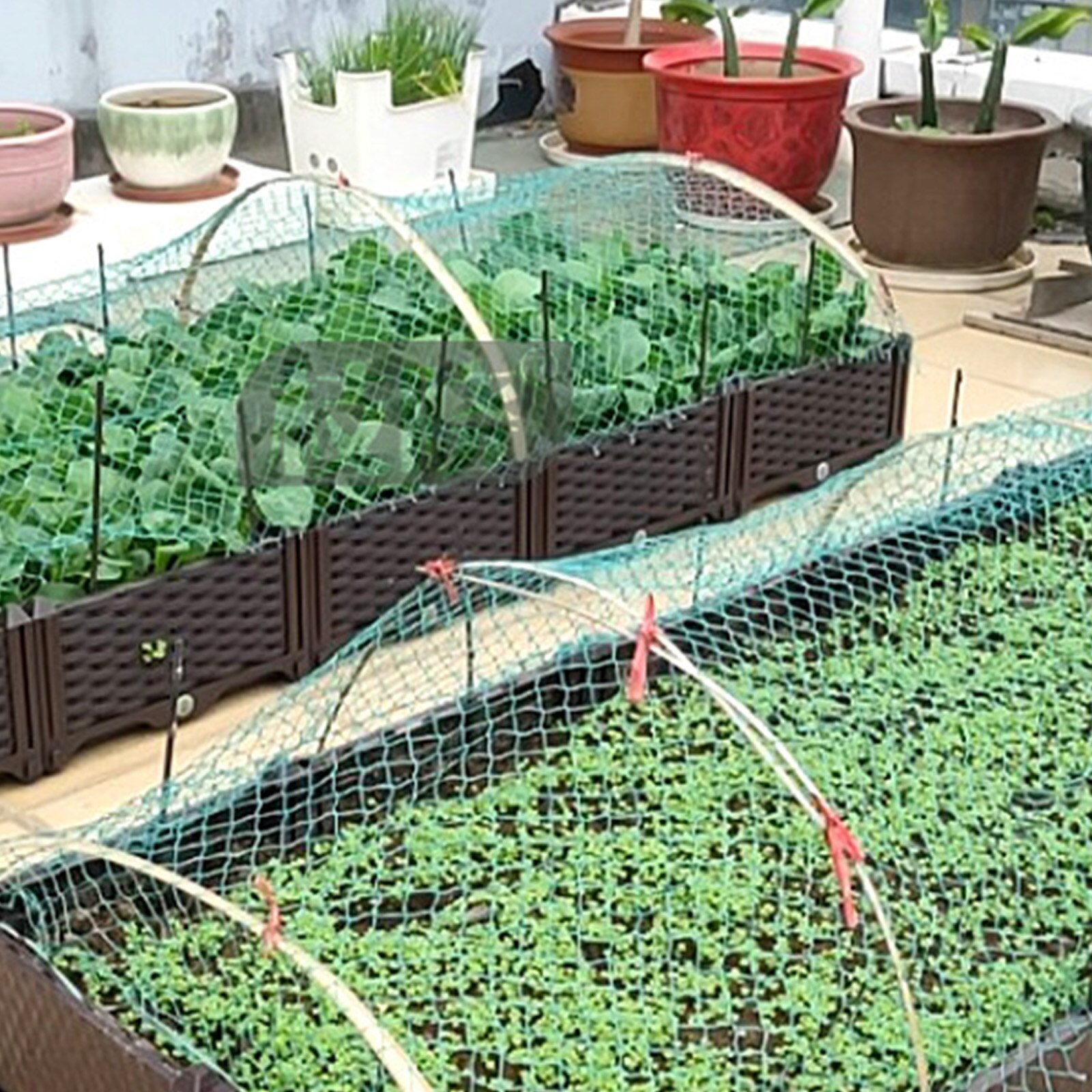 2m/5m/10m Garden fence Garden protection net Gardening net Orchard bird net Poultry farming fence