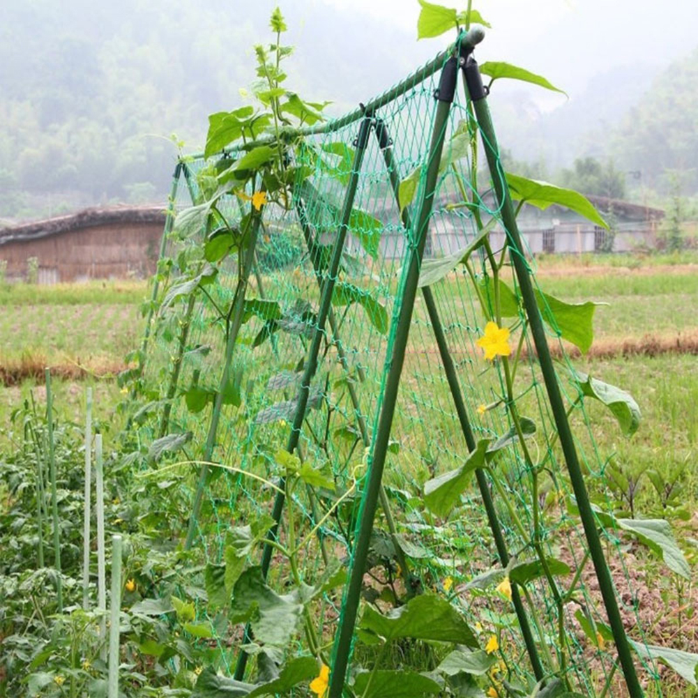 1pc Garden Plants Climbing Net Fruit Vegetable Flower Climbing Grow Fence Anti-bird Net Grow Net Holder Garden Netting Tool