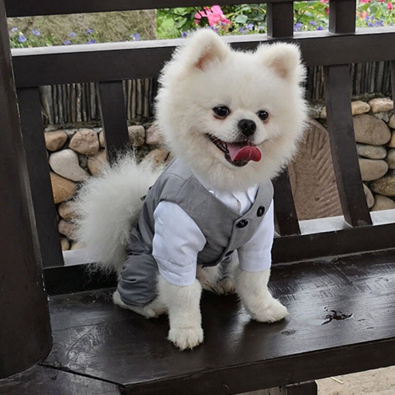 Chaleco de esmoquin para perro, traje Formal con pajarita para perros pequeños, medianos y grandes, traje de caballero para mascotas, boda, de cumpleaños