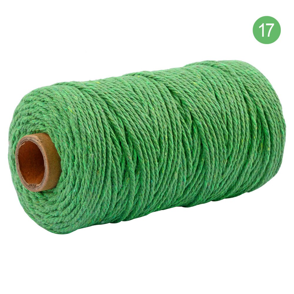 3mm 100%  katoenen koord kleurrijk koord touw gedraaid knutsel macramé touw veelkleurig katoen linnen touw huishoudtextiel 100m: T17