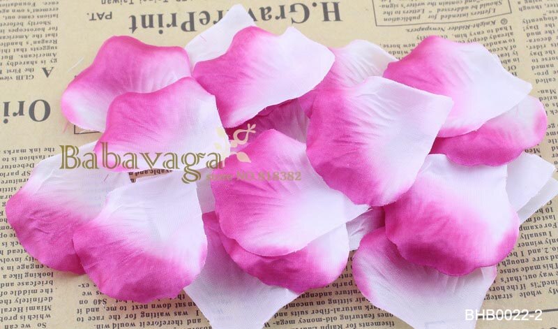 5x5 cm 40 Kleuren Zijde Rose Bloemblaadjes voor Bruiloft Tafel Confetti Decoraties: White Rose