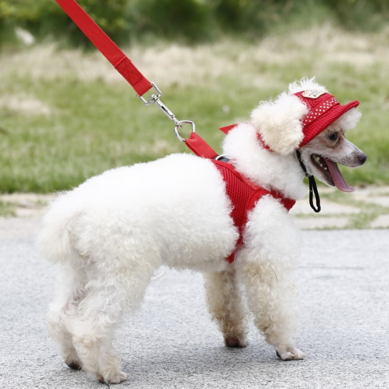 Casquette pour chien, en tissu d'été pour animaux de compagnie, en toile, chapeau de soleil respirant, en toile pour petit chien