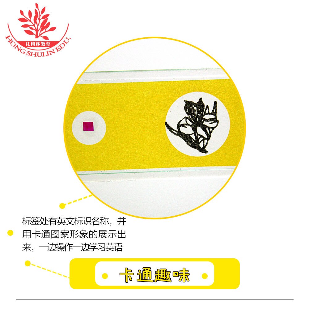 Biologie Onderwijs Apparatuur Kinderen Hoge Permeabiliteit Plastic Specimen Microscoop Met 12 Bloem Plakjes