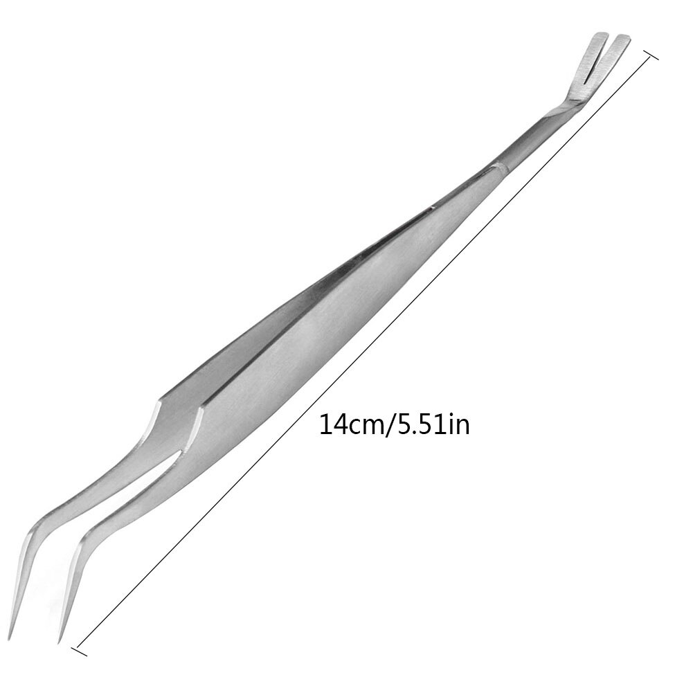 2 In 1 Stainless Steel Tick Tweezers Quick Tick Removal Tool For Cat Dog People Pet Supplies Dog Tick Removal: Tweezers