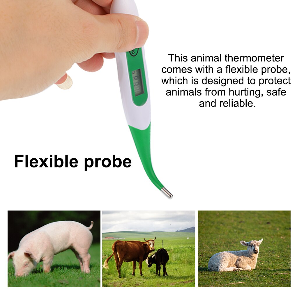 Dier Anus Thermometer Flexibele Temperatuur Meting Gauge Led Display Digitale Huisdieren Waterdichte Huishoudelijke Benodigdheden