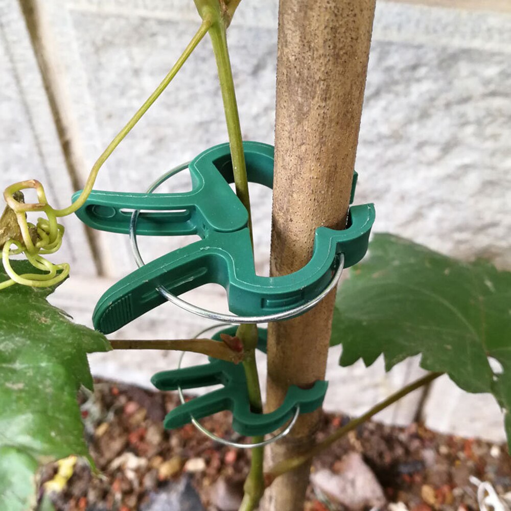 10Pc S/L Herbruikbare Plant Bevestigingsclip Tuin Plant Enten Connector Clip Voor Greenhous Groenten Bloemen Stengels Wijnstokken druif Clip