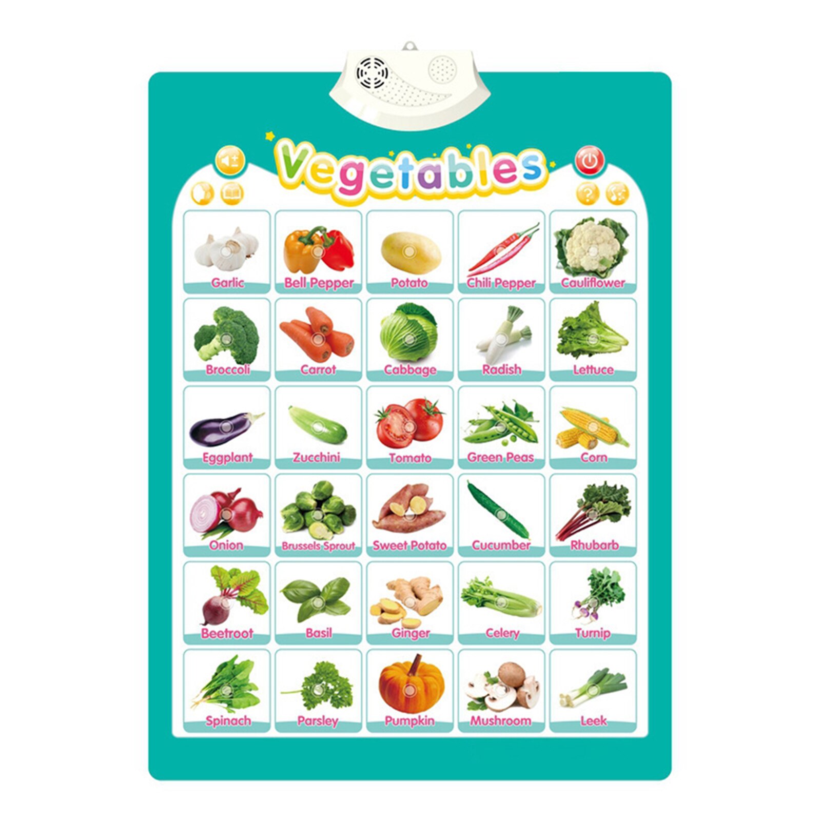 26 Letters Alphabet numbers Vegetables Fruits Animals Vehicle poster English Word Learning school classroom posters decoration: Vegetables