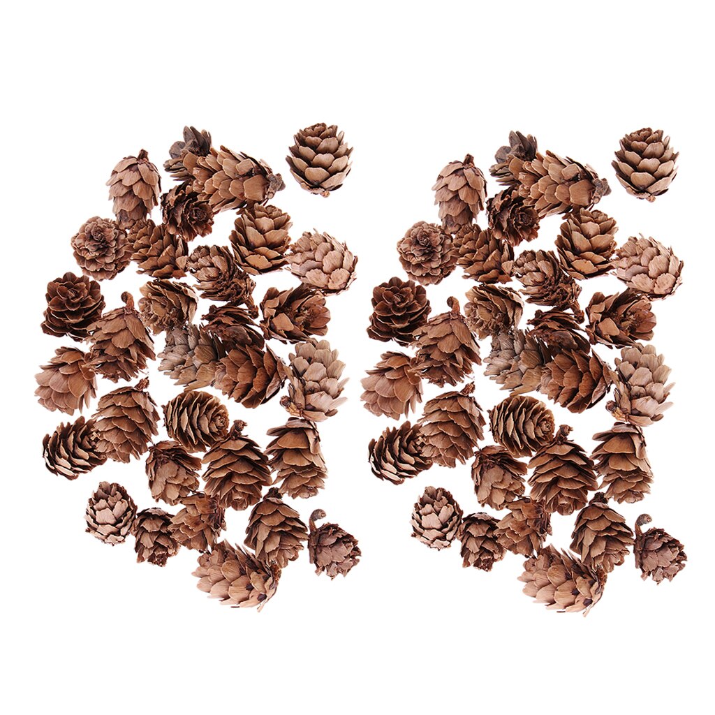 60 pièces Mini pomme de pin décorative pommes de pin pomme de pin pour Vase bol remplissage affiche artisanat décoration de la maison