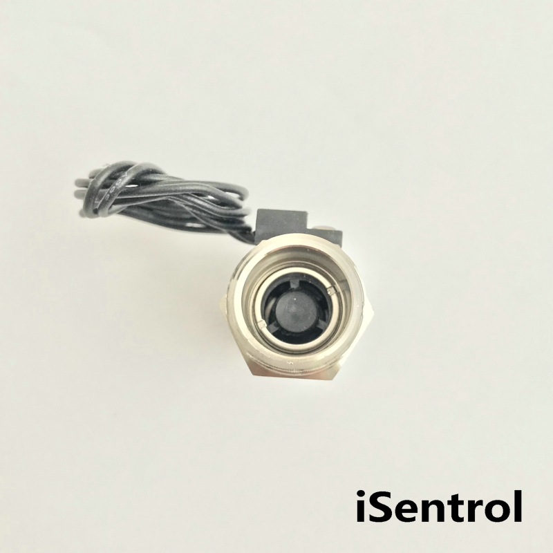 USM-FS21TS SUS304 Flow Switch Reed Switch Magnetic Sensor Switch 1.5-12L/min 5-36V 10W 2 wire Saier Sensor iSentrol