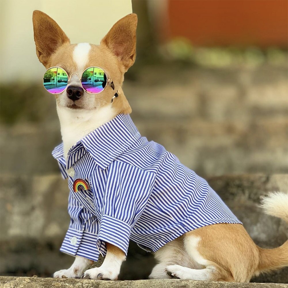 Kjæledyr hund katt klær drakt stripet skjorte vinter høst klær for små mellomstore hunder chihuahua fransk bulldog mops yorkie frakk