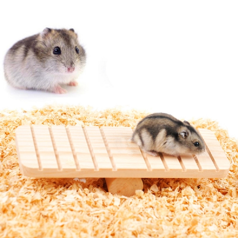 4 typer kæledyr legetøj hamster legetøj tilbehør, skridsikker rille, små dyr egern ørkenrotter mus dværge rotter, hvile og leg