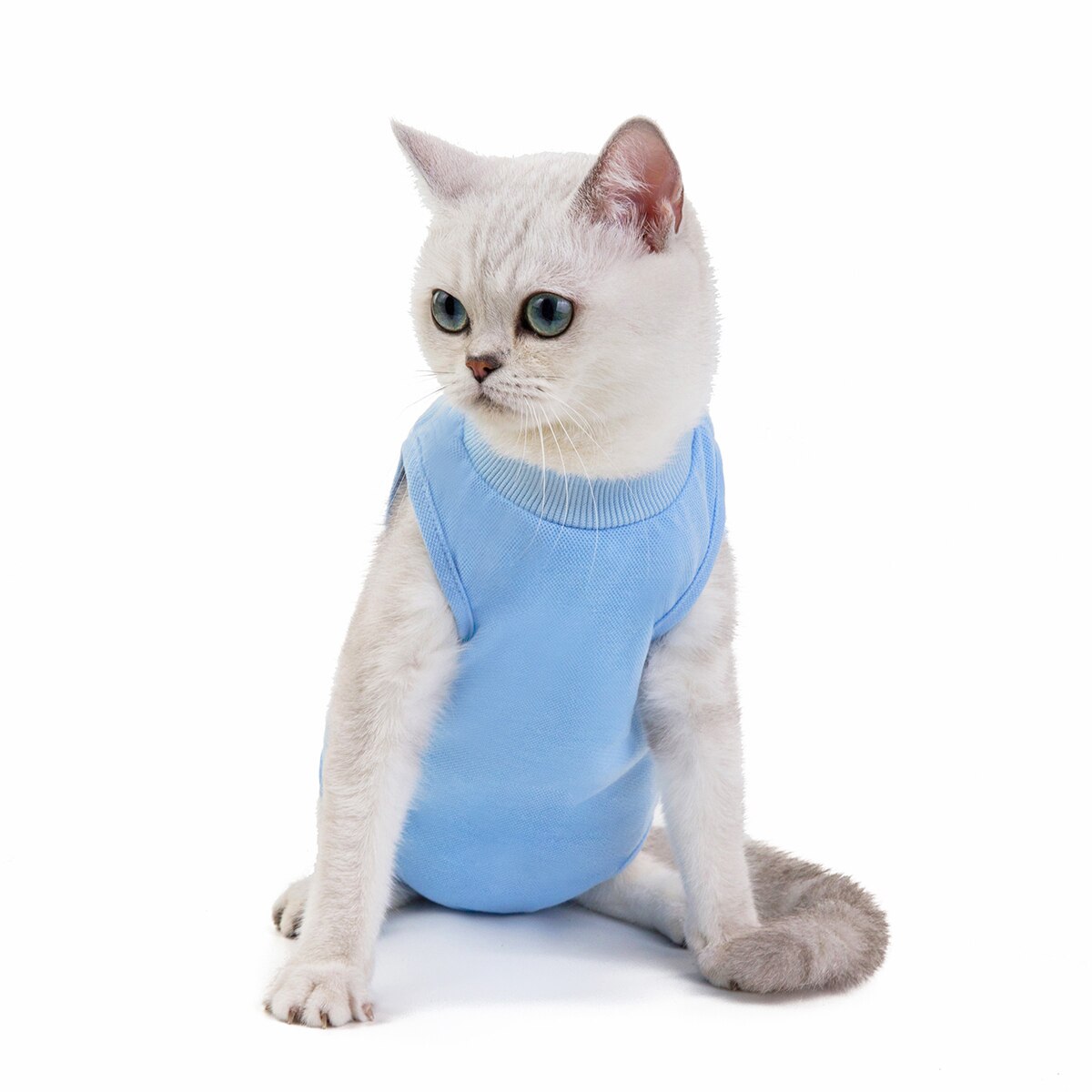 Cotton Physiological Pet After Surgery Clothes Anti-licking Recovery Wounds Protection Vest Breathable Cat Sanitary Jumpsuits: Sky Blue / XL