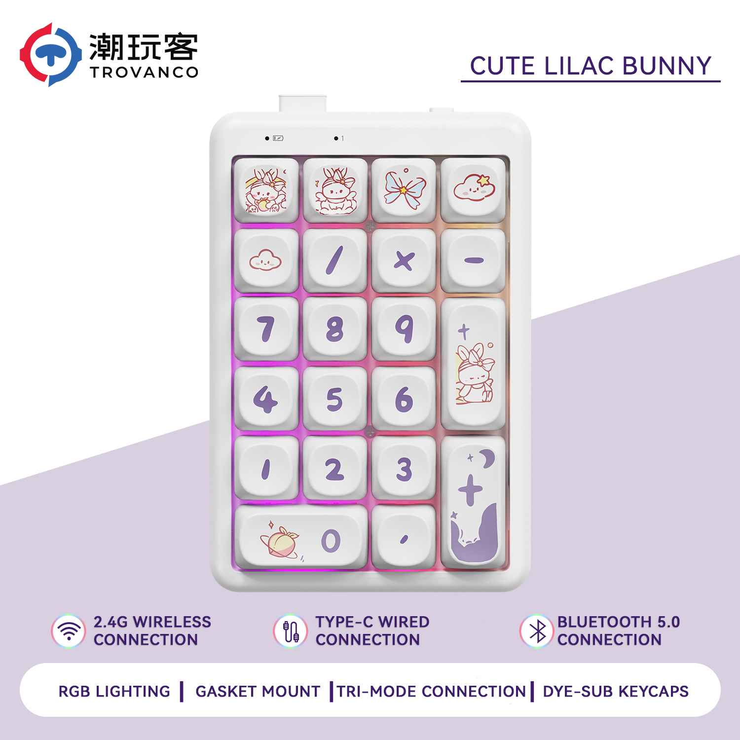 21-Key Wireless Mechanical Keyboard Number Pad Tri-Mode Cartoon Numeric Keypad with -Swappable Switches RGB Backlight: Pewter / Green Switch